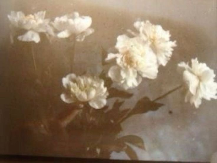 Paintings
